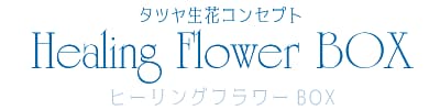 タツヤ生花コンセプトヒーリングフラワーBOX